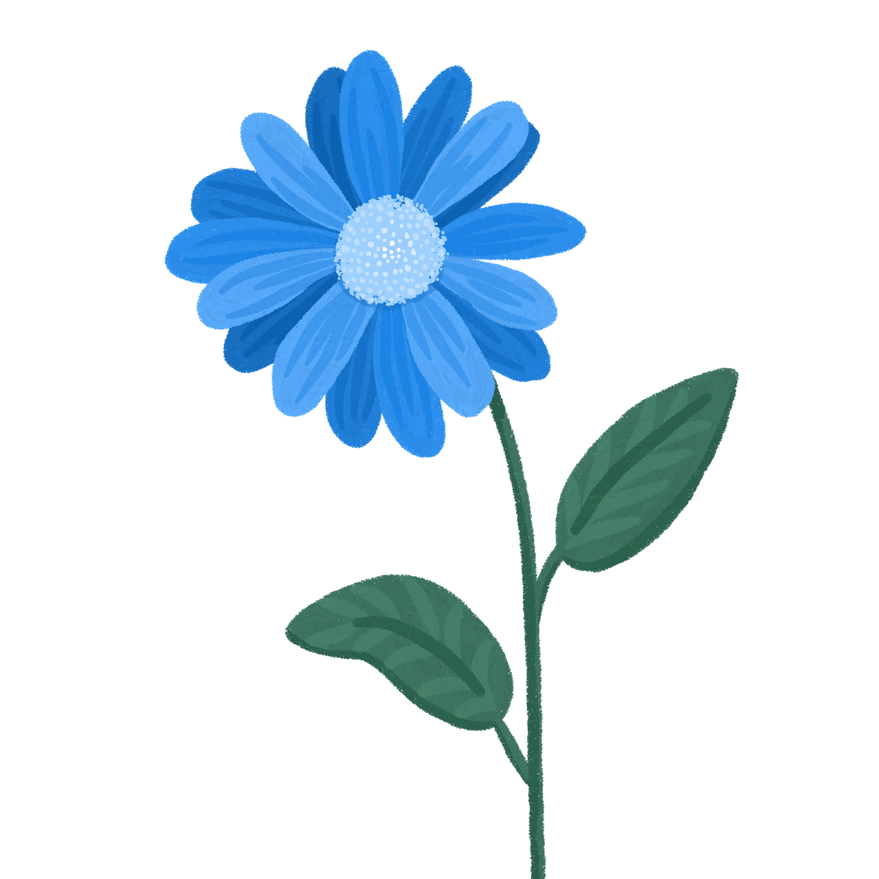 A Blue Flower as decoration.